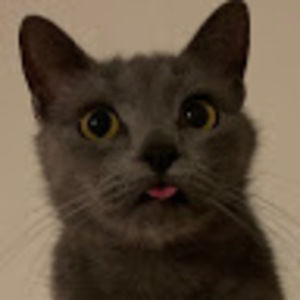 Meet your Posher, Marisol